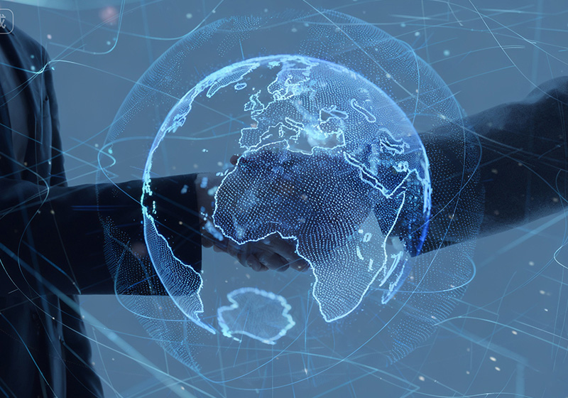 客户服务与反馈